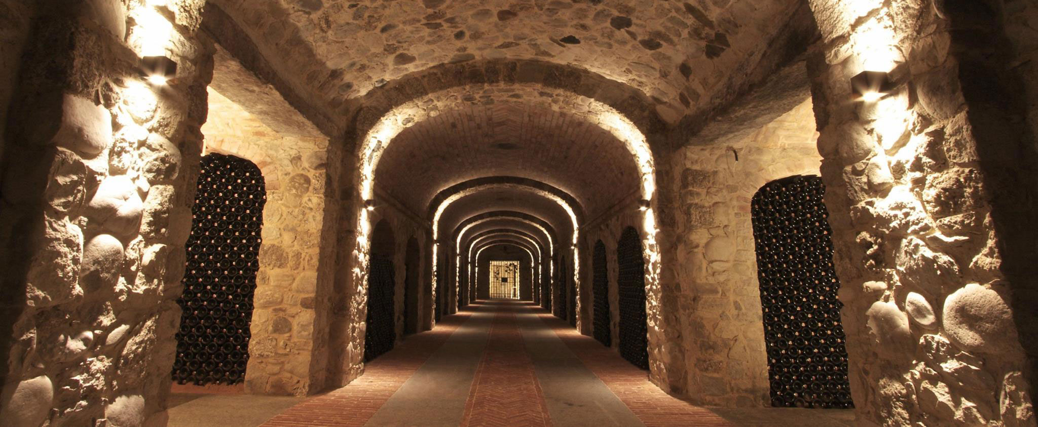 Dégustation des grands vins Langhe et Roero