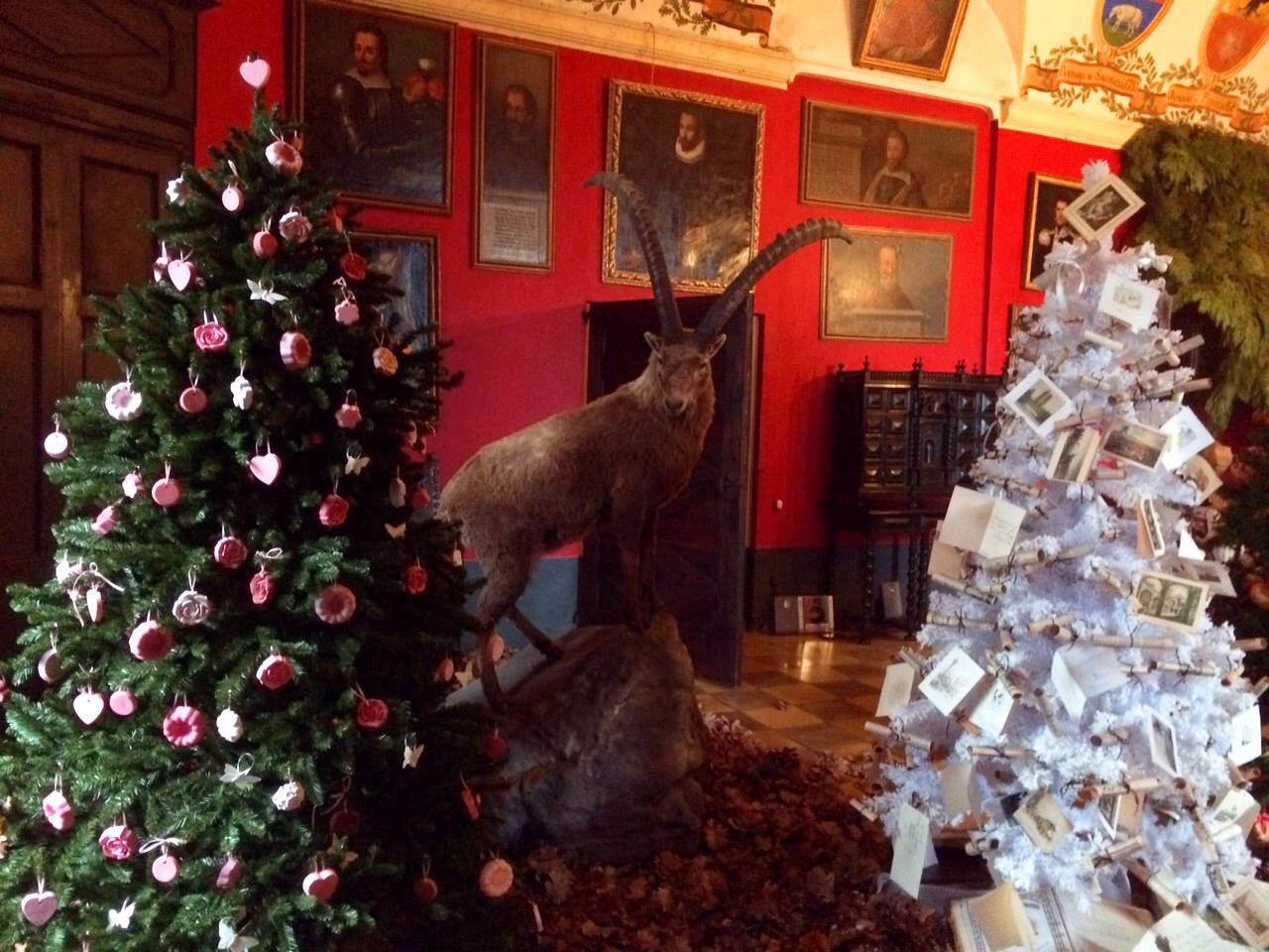 Foto da: Castello di Monticello d'Alba a Natale