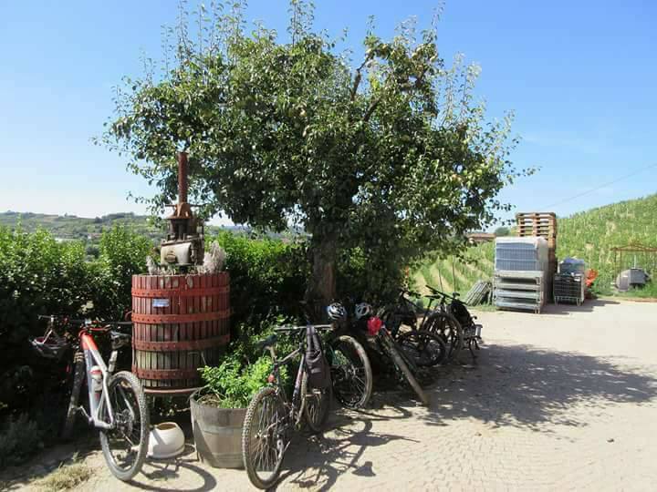 Pedalonga della Roerocche. Canale aprile 2018. Img by: We bike Italy