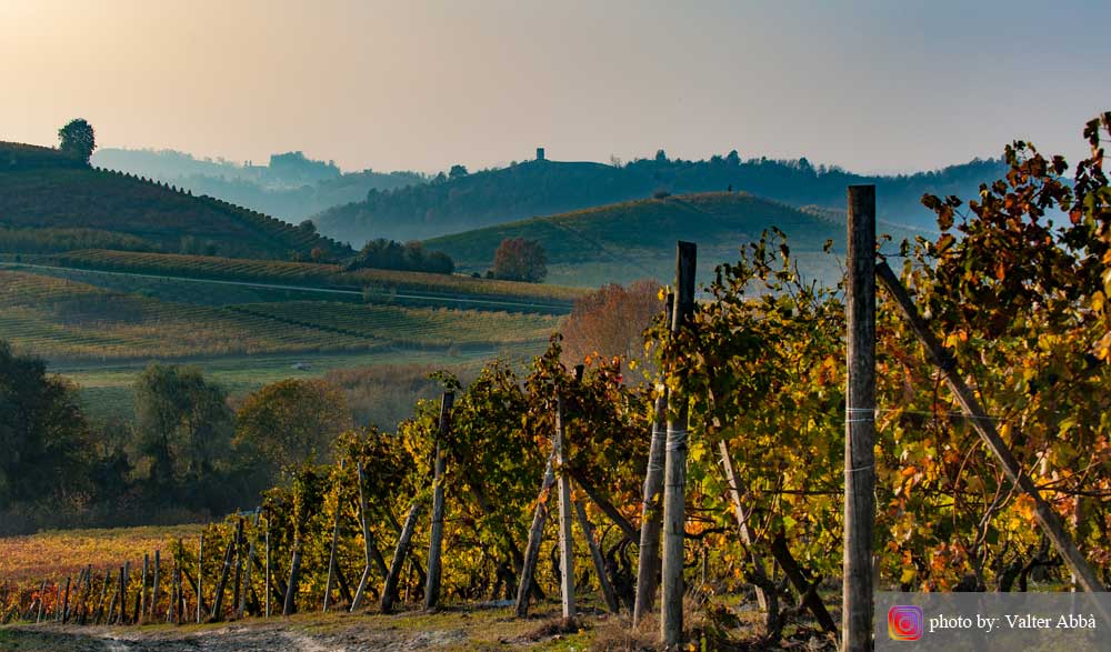 Photo by: Valter Abba. Foliage in Langhe e Roero. La magia dell'autunno.