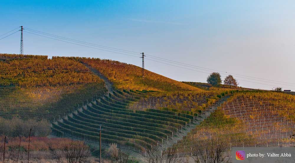 Photo by: Valter Abba. Foliage in Langhe e Roero. La magia dell'autunno.