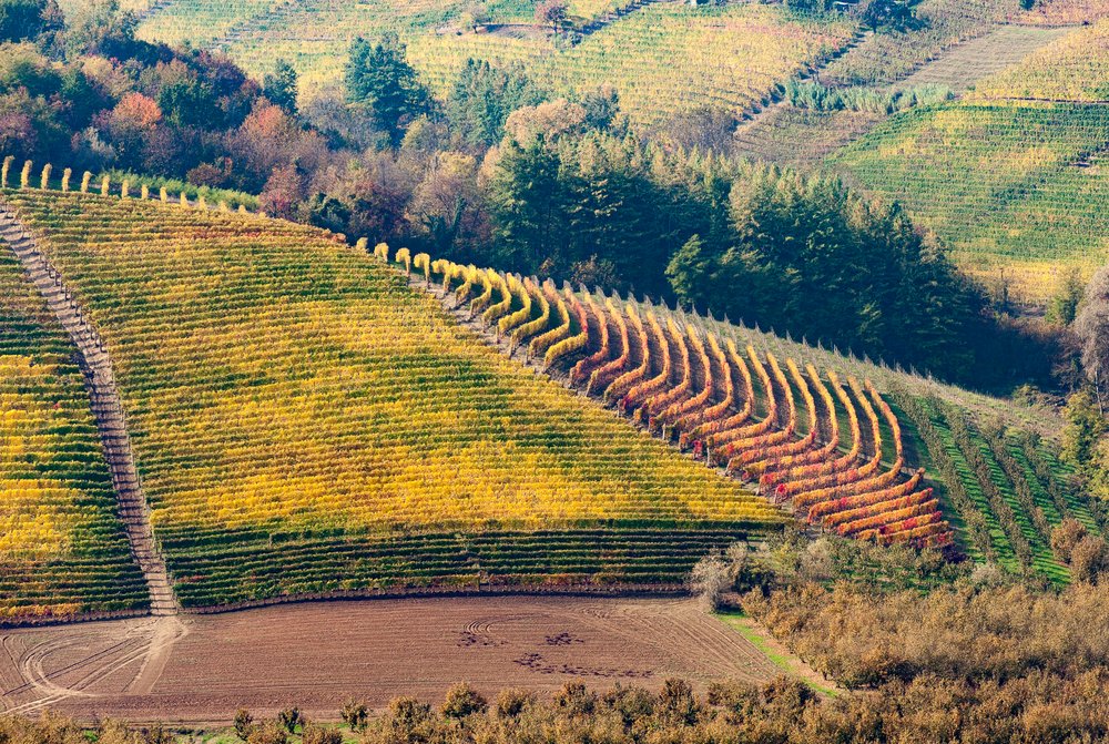 Photo by: Valter Abba. Foliage in Langhe e Roero. La magia dell'autunno.